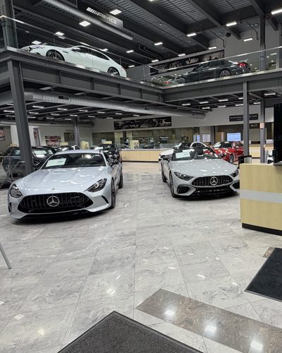An AMG GT coupe and AMG SL roadster at reception